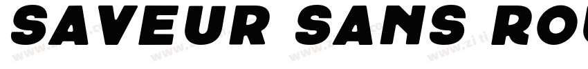 Saveur Sans Round字体转换